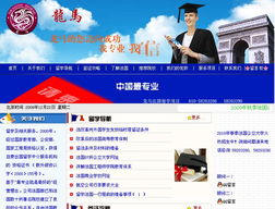 北京网站建设指南 选择龙鼎网络，打造专业在线形象