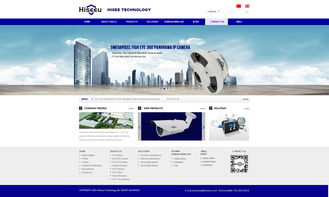 海视友科技 引领深圳网络创新，打造卓越网站设计新标杆